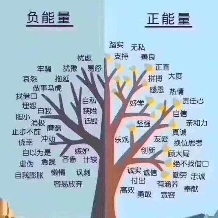 能量一词来自物理,无正负之分,不如说正力,反力好,你觉得呢?