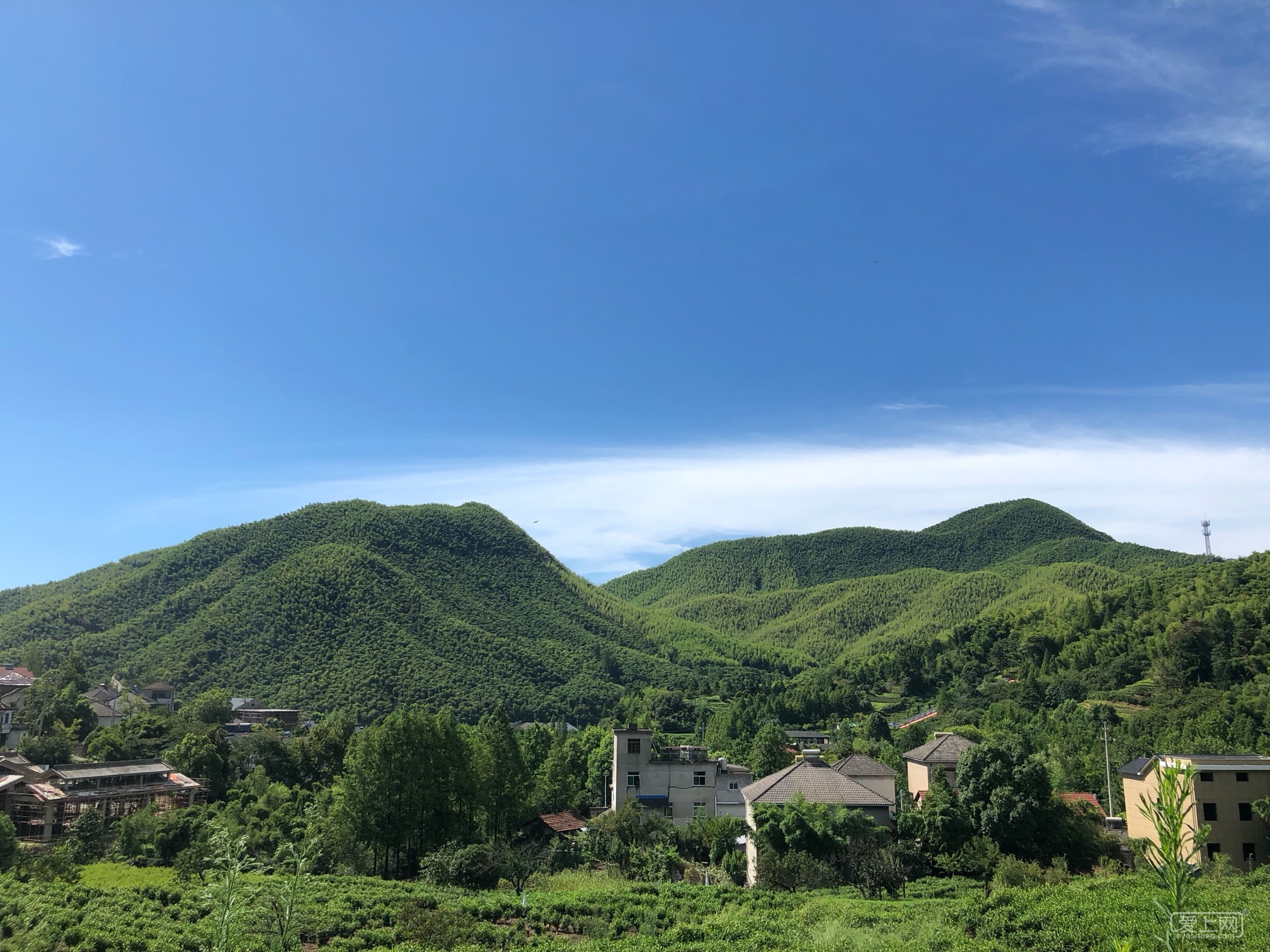 有没有8月初一起带娃去安吉玩两天的 - 吃喝玩乐购 张家港爱上网/